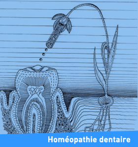 Formation en homéopathie dentaire
